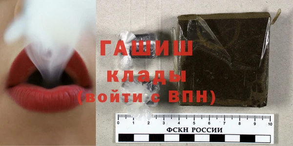 стаф Тайга