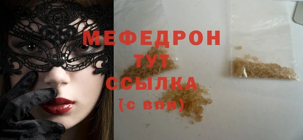 стаф Тайга