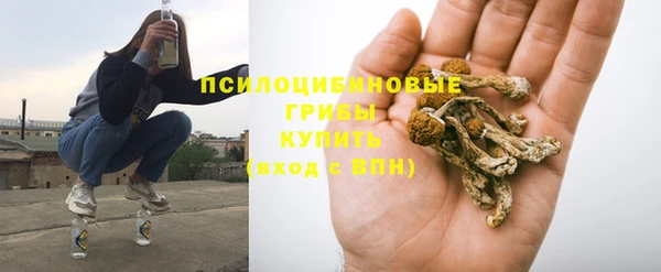 прущий лед Тавда