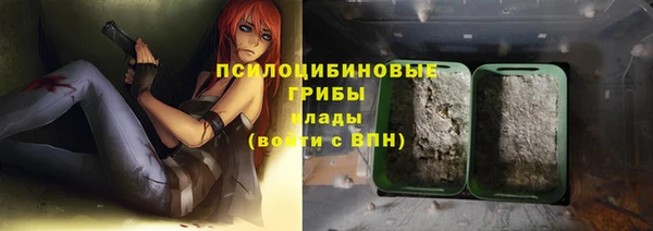 прущий лед Тавда