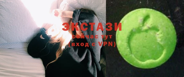 стаф Тайга