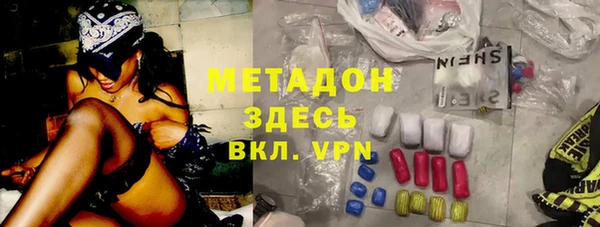 стаф Тайга