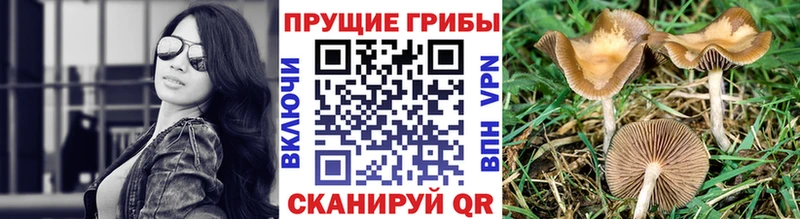 Галлюциногенные грибы Magic Shrooms  Юрьевец 